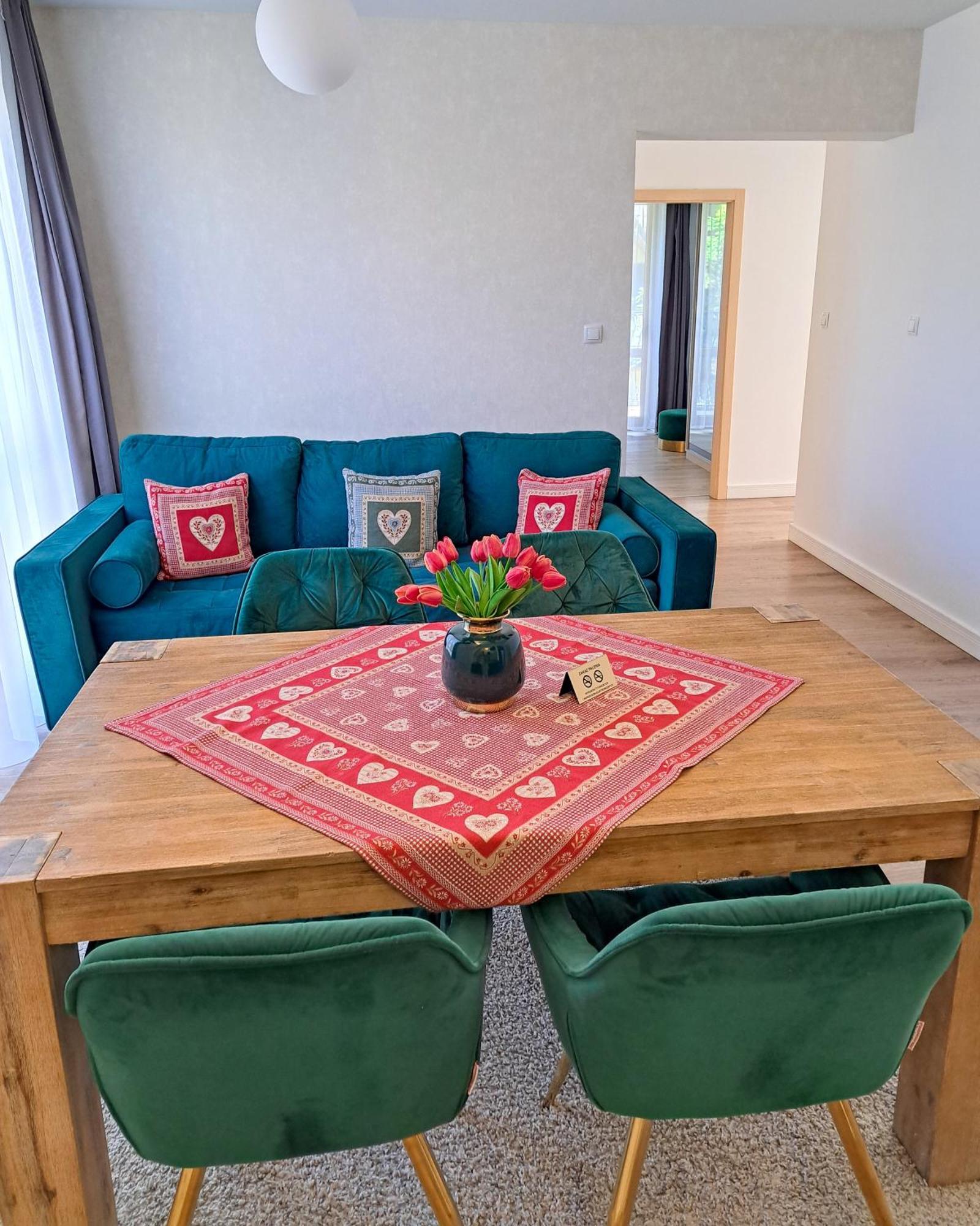 Bory6A Apartamenty & Free Parking 扎科帕内 外观 照片